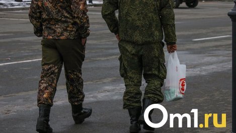 В Омске военнослужащего оштрафовали на 320 тысяч рублей за поездку на автомобиле