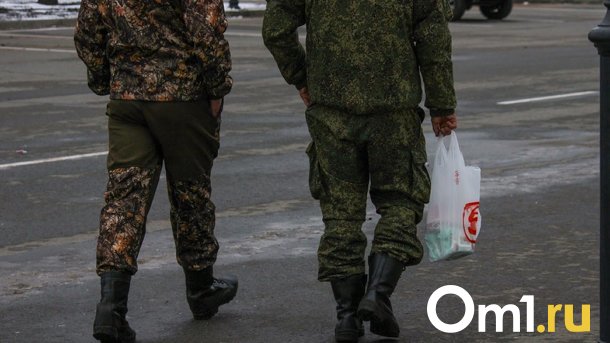 В Омске военнослужащего оштрафовали на 320 тысяч рублей за поездку на автомобиле