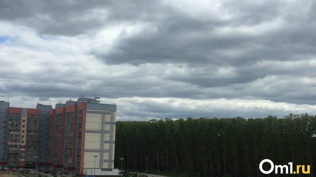 «Аномальной жары не будет!»: синоптики прогнозируют холодное и дождливое лето в Новосибирске