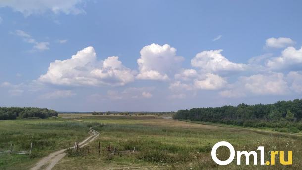 Земля ждёт хозяина: Омская область отдаёт аграриям почти 100 гектаров