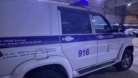Украл, выпил, в тюрьму. В Омске задержали пьяного угонщика-рецидивиста