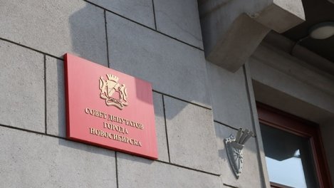 На округах депутатов новосибирского горсовета Бойко* и Пироговой могут пройти перевыборы