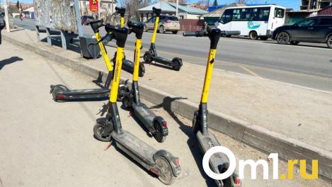 Арендные самокаты в Новосибирске стали жертвами вандалов-авангардистов