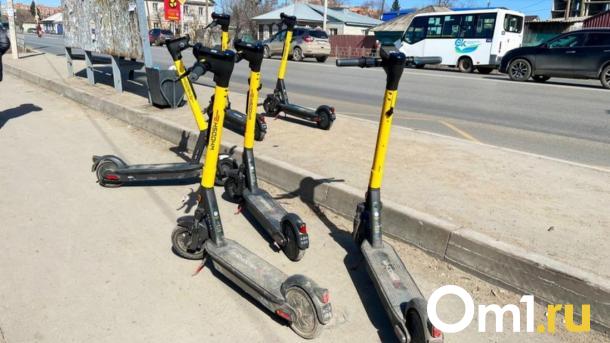Арендные самокаты в Новосибирске стали жертвами вандалов-авангардистов