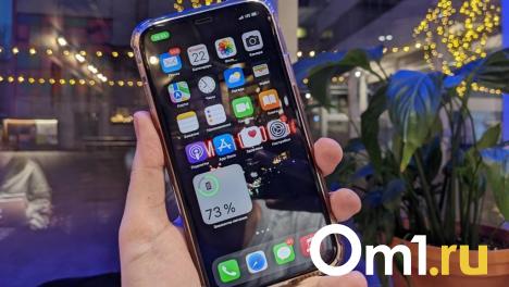 Омич хотел купить новый телефон за 13 тысяч, но потерял в четыре раза больше