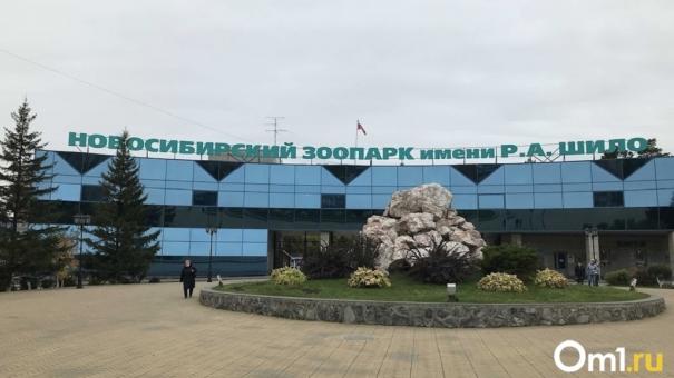 Новосибирский зоопарк изменил время работы