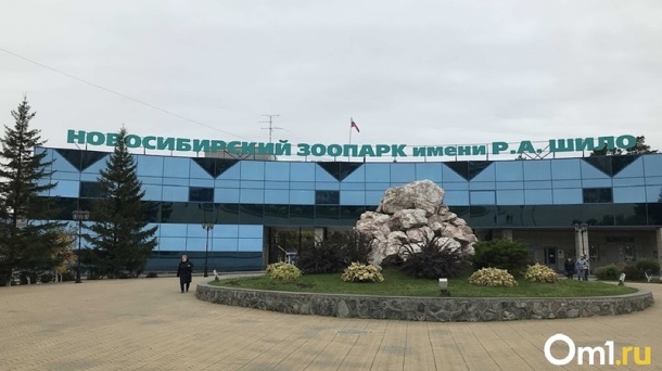 Новосибирский зоопарк изменил время работы