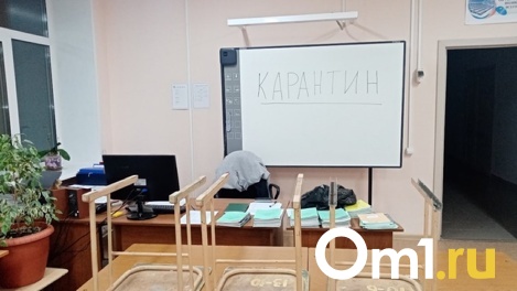 В Омске в 10 раз чаще стали закрывать детсады и школы на карантин