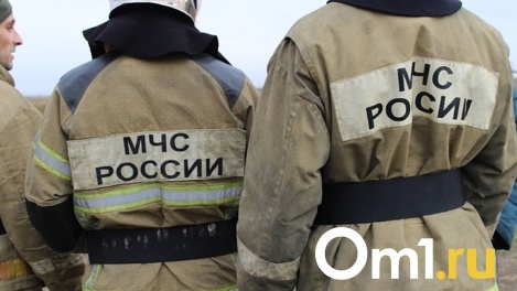 Роковая сигарета: тело 38-летнего мужчины нашли в погребе после пожара под Новосибирском. ФОТО