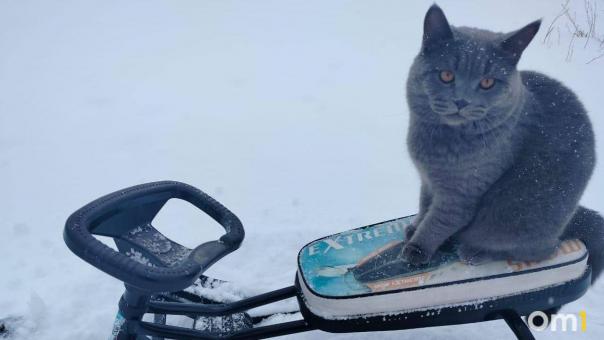 Омичей ждёт облачная, но тёплая неделя