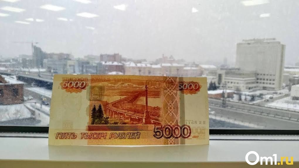 Верим в чудо! Жительница Новосибирска попросила Путина повторить выплату 5000 рублей детям на Новый год