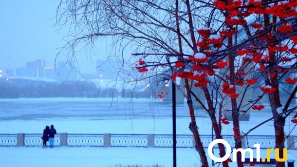 Две недели снегопадов ожидают новосибирцев в феврале