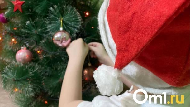 Забег детсадовцев и Фестиваль Снежных баб: новосибирцам рассказали о праздничной новогодней программе