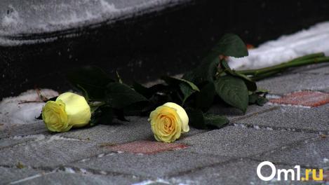 Омские кладбища обрабатывают от грызунов и клещей