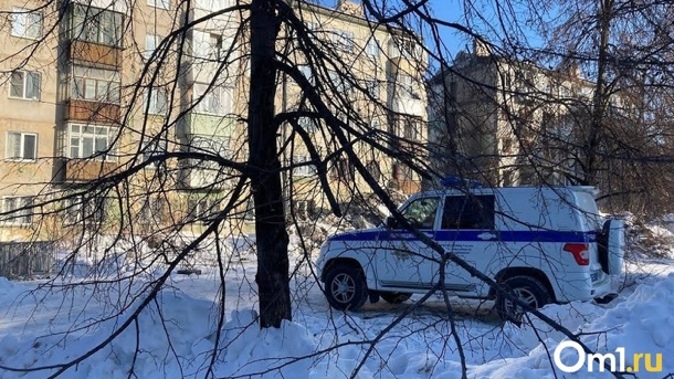 У актрисы Омского драмтеатра погиб отец в ДТП: девушка ищет свидетелей