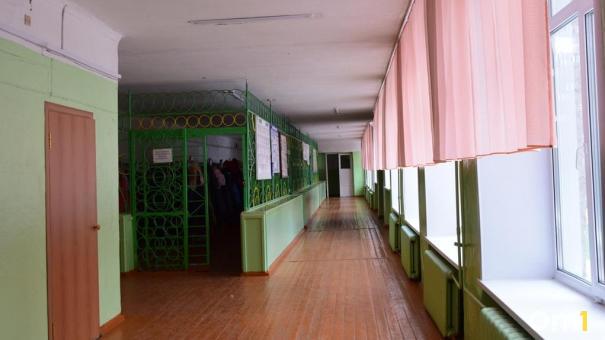 Омский Роспотребнадзор проверит школу, в которой отваливаются стены