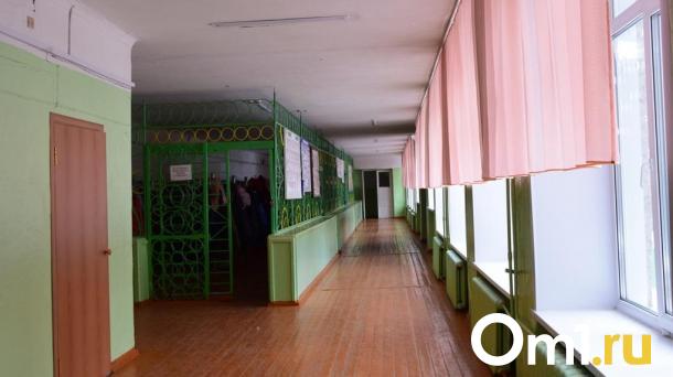 Омский Роспотребнадзор проверит школу, в которой отваливаются стены