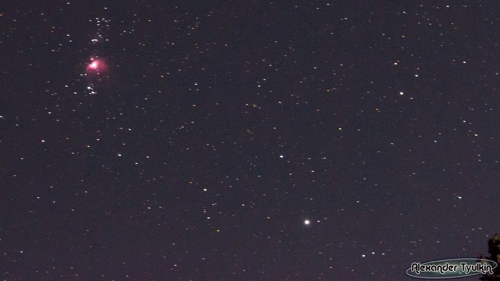 Новосибирский астрофотограф запечатлел звёздное небо над Телецким озером. ФОТО