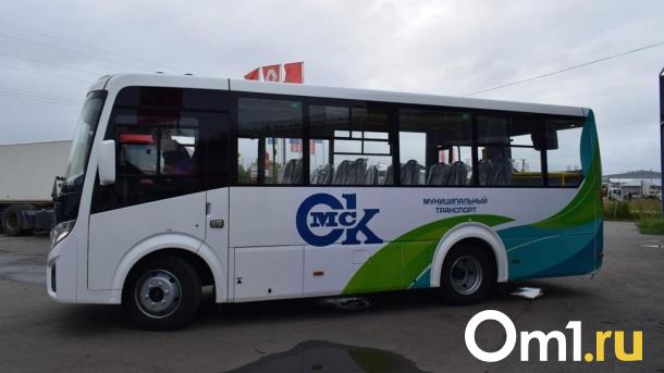 Из Омска запустят международные автобусы в Киргизию