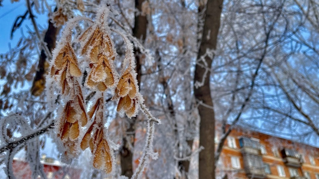 Омскую область накроет холодный фронт из Казахстана с экстремальными морозами