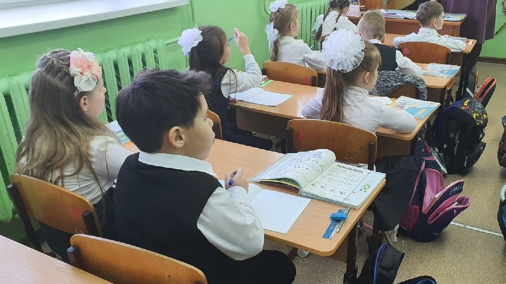 Новосибирских школьников массово протестируют на коронавирус