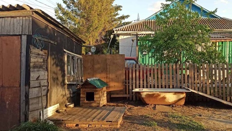 Омич до смерти забил чужую собаку кастрюлей из-за громкого лая