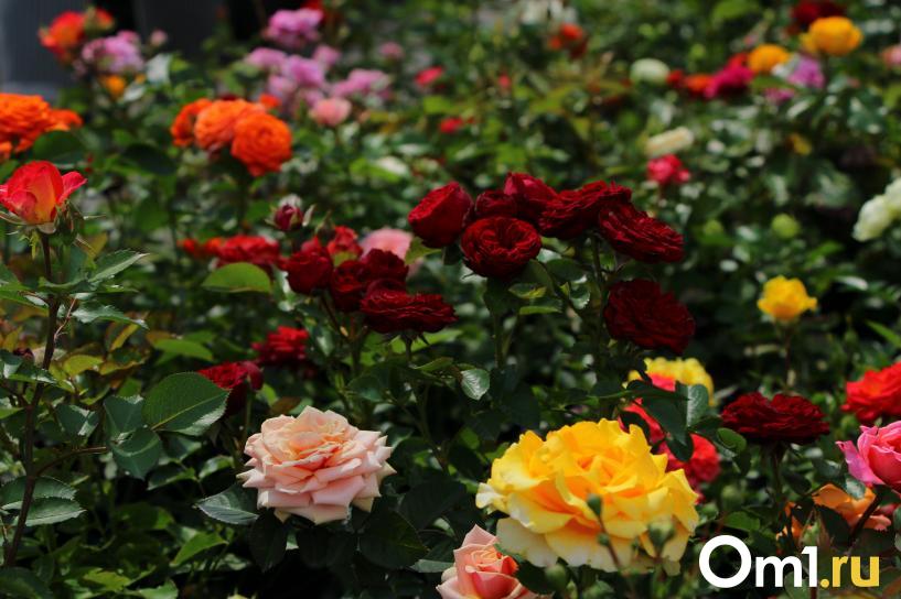 Изображение фоторепортажа