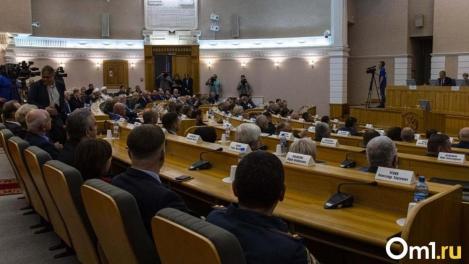 Стало известно, кто заменит ушедшую Дарью Бикмаеву в омском Заксобрании