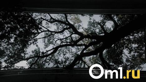 Омичам рассказали, для кого создаются укрытия и убежища и куда бежать в случае ЧС