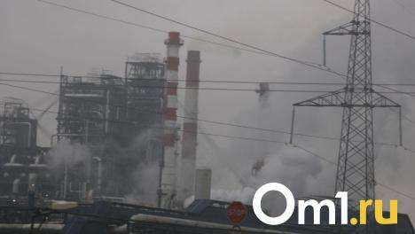 Следком возбудил уголовное дело из-за пожара на ОПНЗ