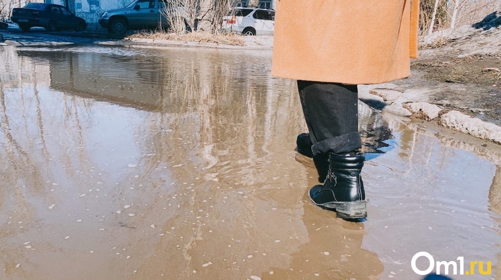 Новосибирский сапожник рассказал, как чинил обувь Пелагее и Марату Башарову