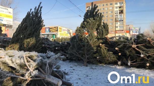 Омичи смогут найти пункты переработки новогодних ёлок на «Яндекс Картах»