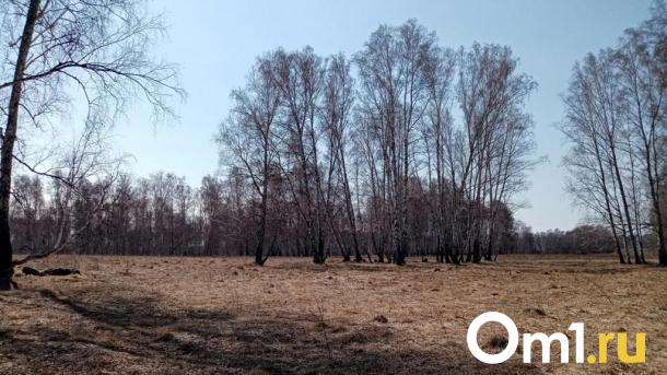 Россельхознадзор потребовал вернуть заброшенные земли в Омской области в сельхозоборот