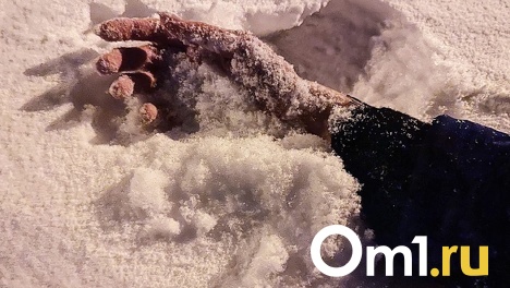 Омич едва не погиб на морозе, потеряв сознание – он отморозил себе руки