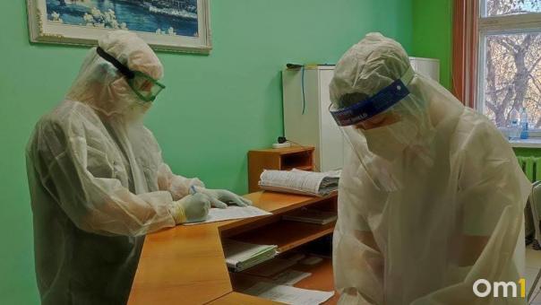 Новосибирская область готова к вспышке оспы обезьян