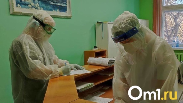 Новосибирская область готова к вспышке оспы обезьян