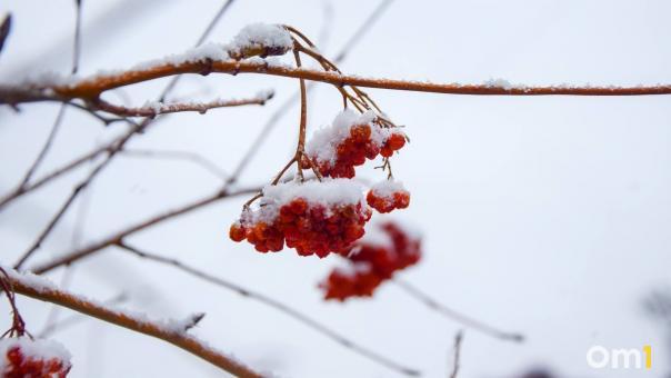За три дня Омск накрыло снегом, как за целую декаду