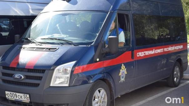 Бастрыкин затребовал доклад об ограблении новосибирца таксистом-мигрантом