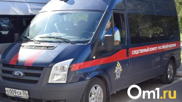 Бастрыкин затребовал доклад об ограблении новосибирца таксистом-мигрантом