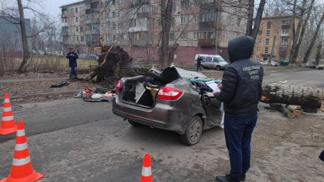 Упавшее на машину огромное дерево убило двух человек в Кузбассе