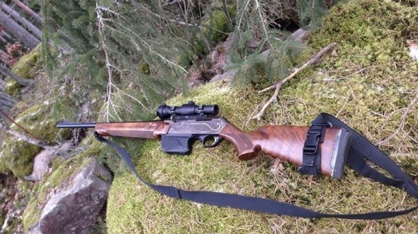 Власти Новосибирской области разрешили охотникам отстрелить 84 бурых медведя