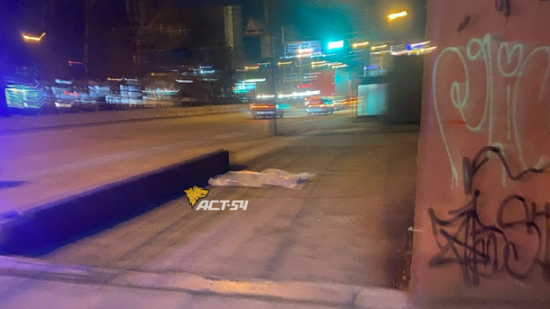 Труп под окнами дома нашли на улице Зыряновской в Новосибирске