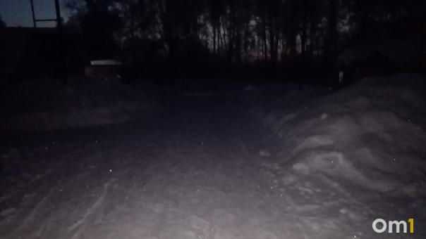 Омичи получили освещение у дороги только через суд