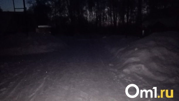 Омичи получили освещение у дороги только через суд