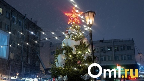 Жители Новосибирска смогут решить судьбу улицы Ленина на следующих новогодних праздниках