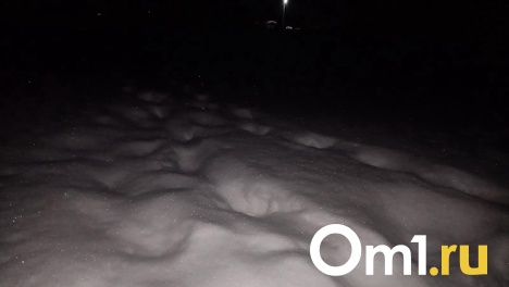 Омичка, которую нашли мёртвой в поле, могла страдать эпилепсией