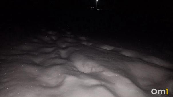 Омичка, которую нашли мёртвой в поле, могла страдать эпилепсией