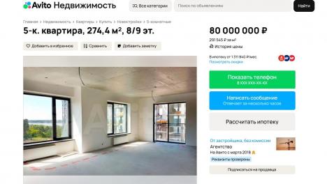 В Новосибирске на берегу Оби продают квартиру за 80 миллионов рублей