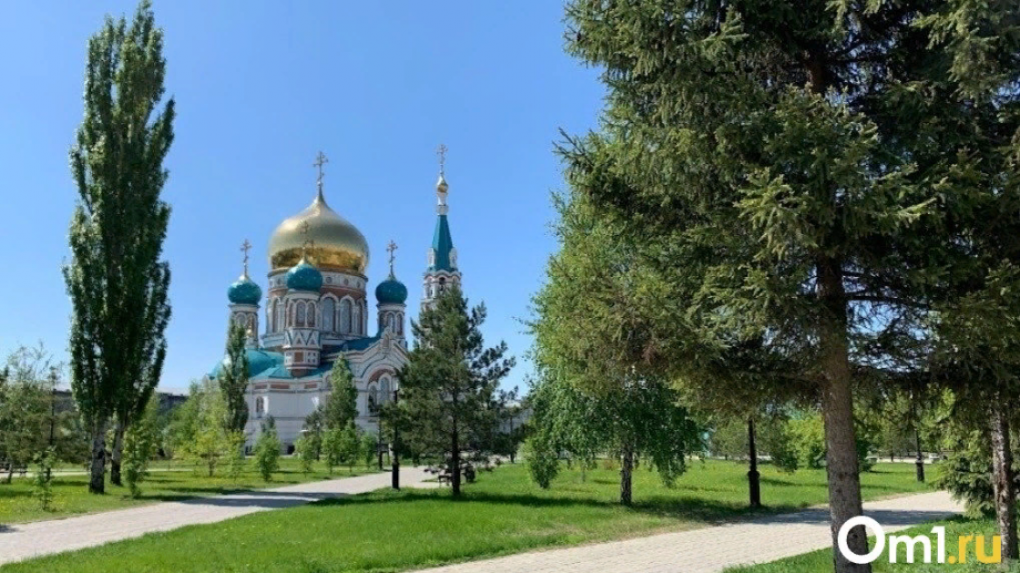 В Омске парки и скверы начнут обрабатывать от клещей