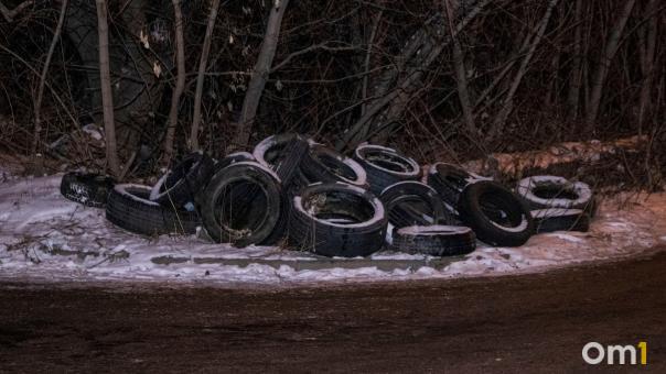 В Омске начнут утилизировать старые автомобильные покрышки
